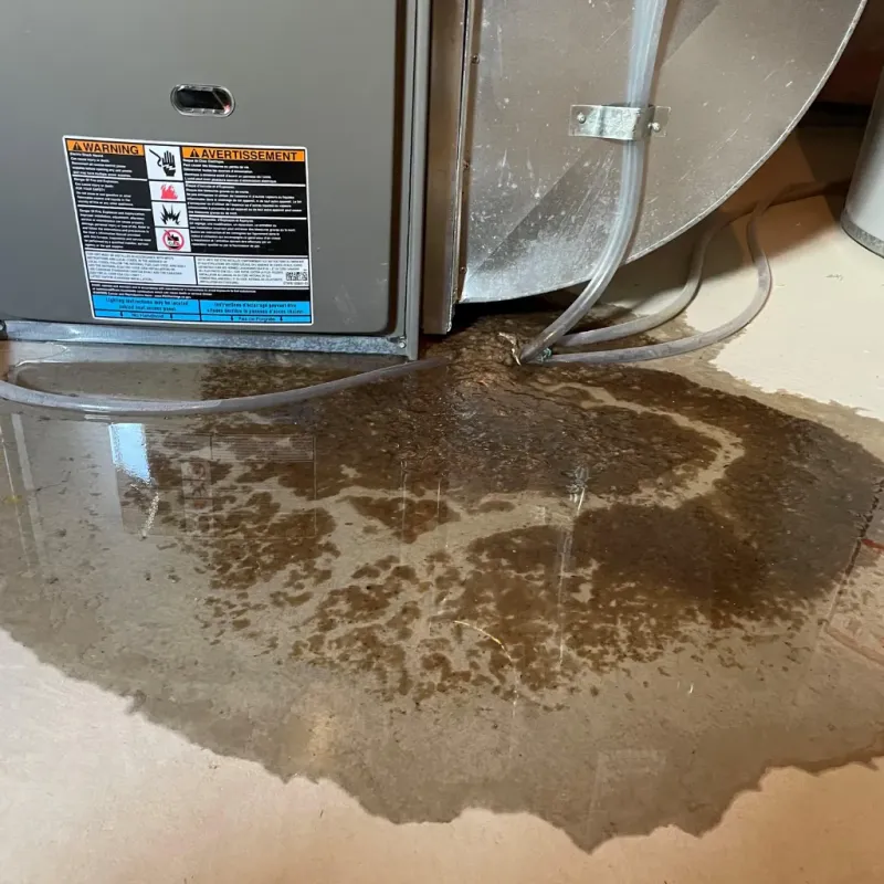 Appliance Leak Cleanup in Hollister, MO