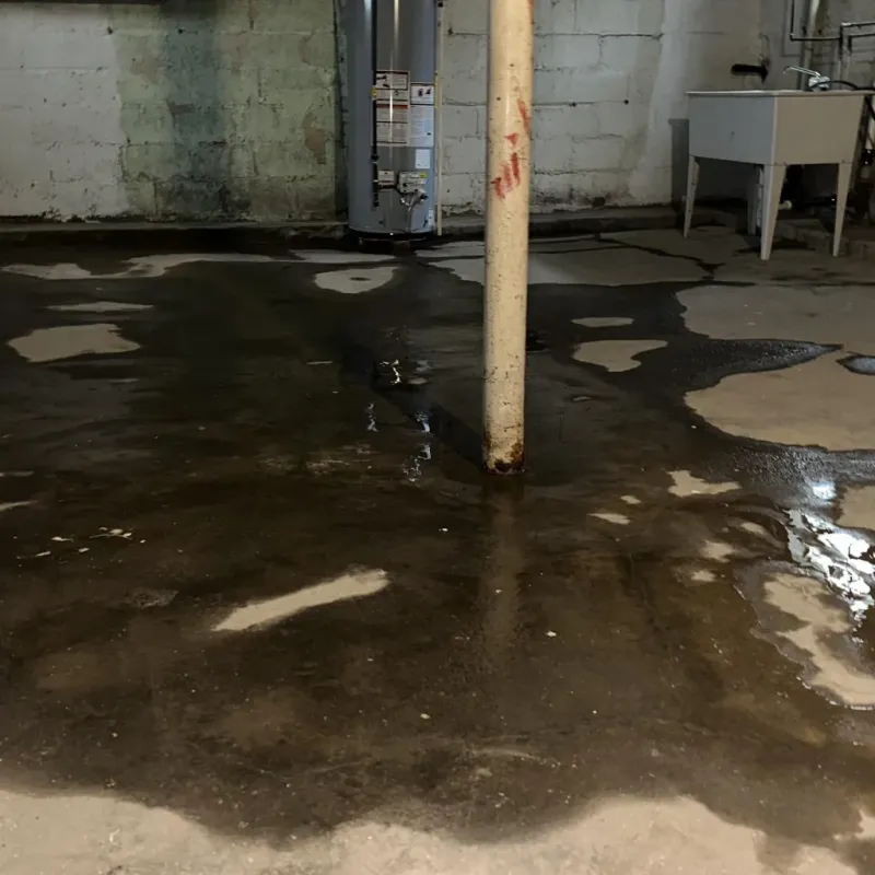 Emergency Water Extraction And Removal in Hollister, MO